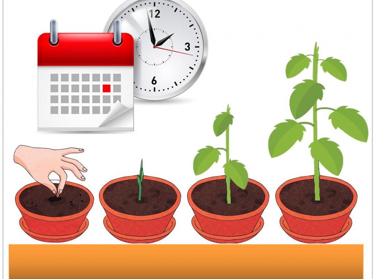 Фото предоставлено автором